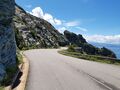 corse 016